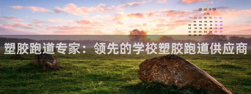 tqb谈球吧：塑胶跑道专家：领先的学校塑胶跑道供应商