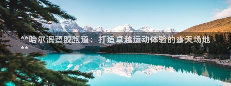 谈球吧平台：**哈尔滨塑胶跑道：打造卓越运动体验的露