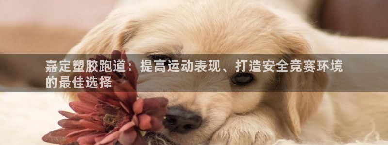 谈球吧算违法行为吗为什么：嘉定塑胶跑道：提高运动表现、打造安全竞赛环境
的最佳选择