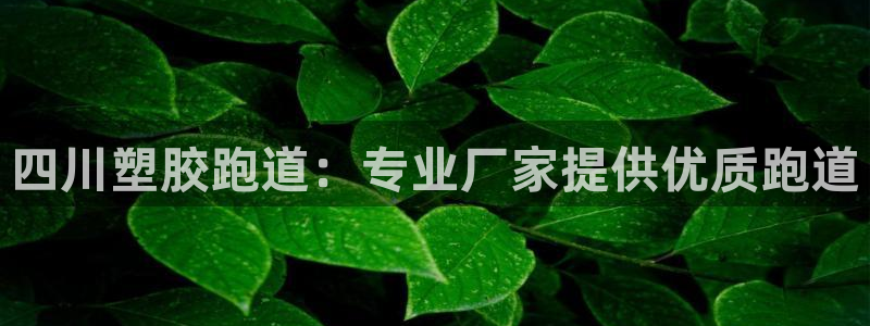 谈球吧官网在线入口免费观看高清：四川塑胶跑道：专业厂家提供优质跑道