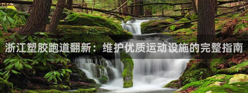 谈球吧tvt：浙江塑胶跑道翻新：维护优质运动设施的完