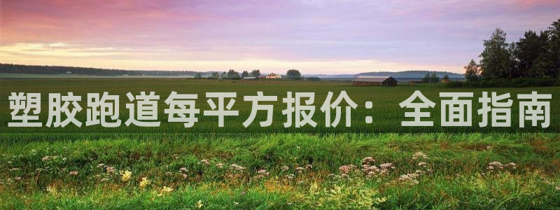 谈球吧网站：塑胶跑道每平方报价：全面指南