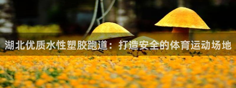 谈球吧体育app登陆：湖北优质水性塑胶跑道：打造安全的体育运动场地