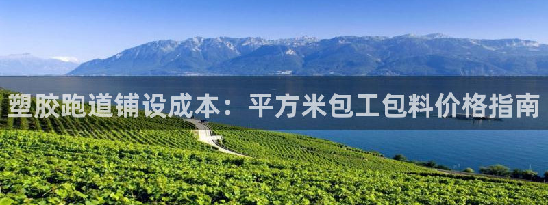 谈球吧体育app下载足球直播：塑胶跑道铺设成本：平方米包工包料价格指南
