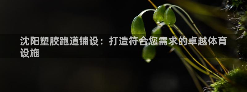 谈球吧app体育：沈阳塑胶跑道铺设：打造符合您需求的卓越体育
设施