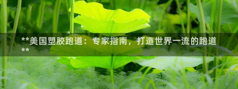 谈球吧官网在线入口免费观看高清版：**美国塑胶跑道：专家指南，打造世界一流的跑道
**