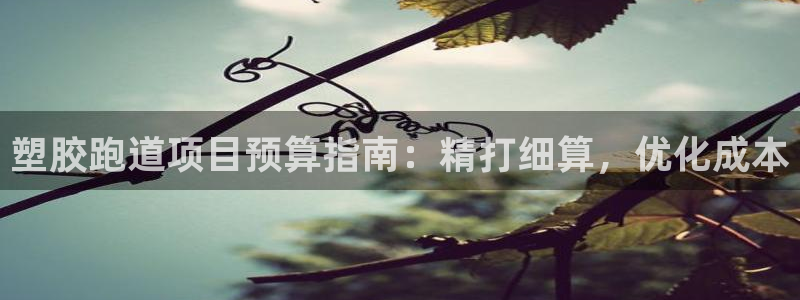 谈球吧app官网下载安卓：塑胶跑道项目预算指南：精打