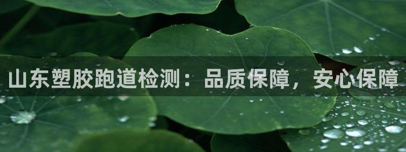 谈球吧官网在线入口手机版下载苹果：山东塑胶跑道检测：品质保障，安心保障