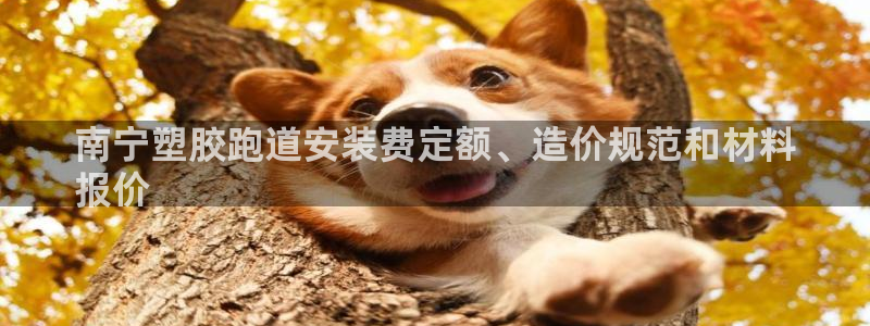 谈球吧账号有人收吗：南宁塑胶跑道安装费定额、造价规范和材料
报价