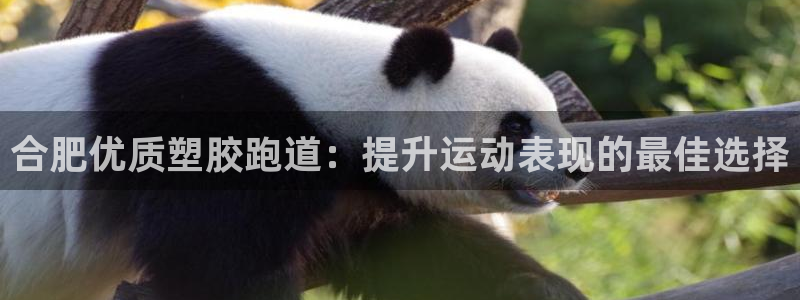 谈球吧体育app登陆：合肥优质塑胶跑道：提升运动表现的最佳选择