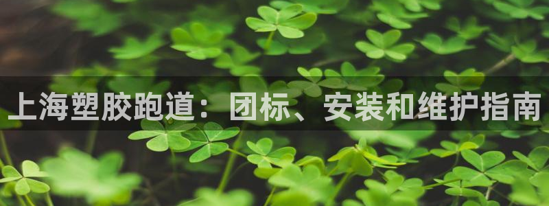 谈球吧在线登陆：上海塑胶跑道：团标、安装和维护指南