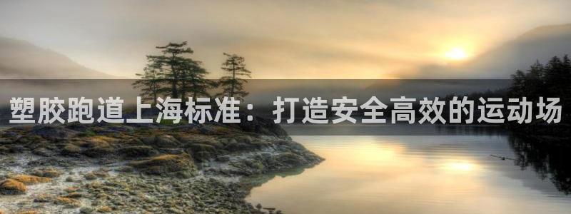谈球吧的聊天软件有哪些：塑胶跑道上海标准：打造安全高效的运动场