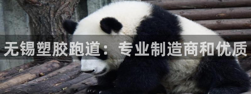 谈球吧官网在线入口网址：无锡塑胶跑道：专业制造商和优