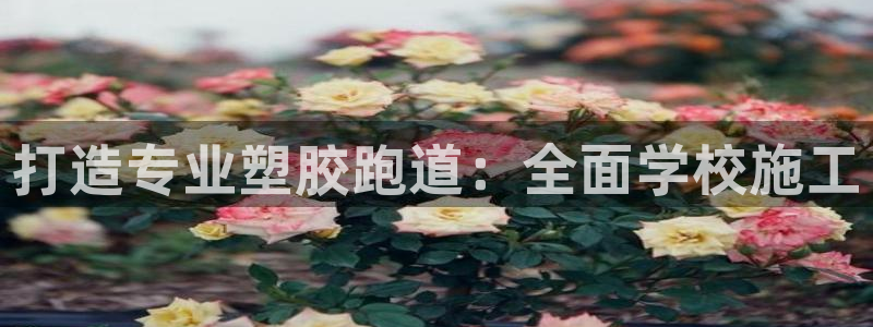 谈球吧在线：打造专业塑胶跑道：全面学校施工