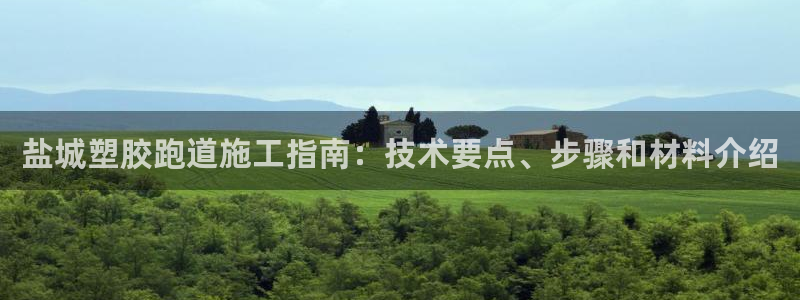 谈球吧-体育赛事：盐城塑胶跑道施工指南：技术要点、步骤和材料介绍