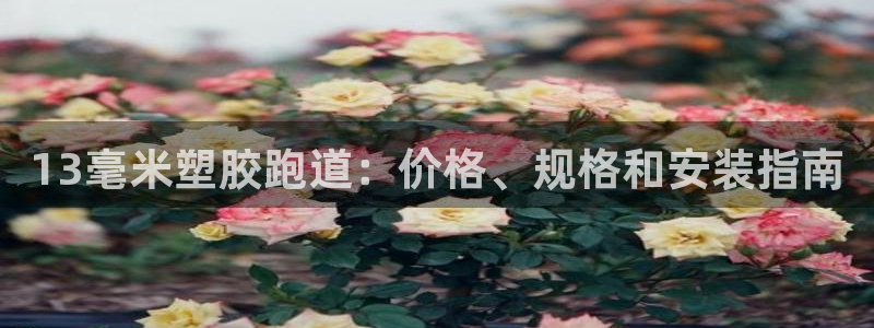 谈球吧app下载安装：13毫米塑胶跑道：价格、规格和安装指南