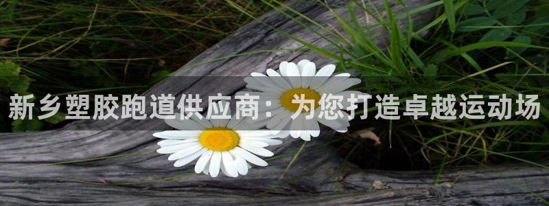 谈球吧app官网下载安卓：新乡塑胶跑道供应商：为您打造卓越运动场