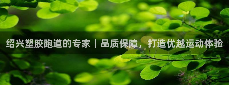 谈球吧首充金额截图