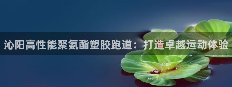 谈球吧nba：沁阳高性能聚氨酯塑胶跑道：打造卓越运动体验