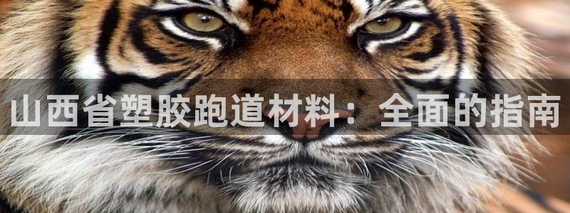 谈球吧体育app登陆不了：山西省塑胶跑道材料：全面的指南