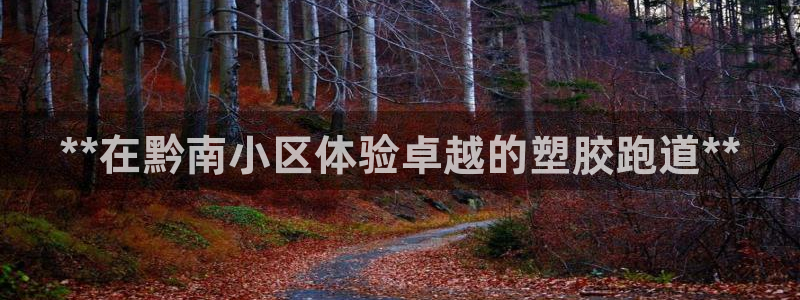 谈球吧综合官网app：**在黔南小区体验卓越的塑胶跑