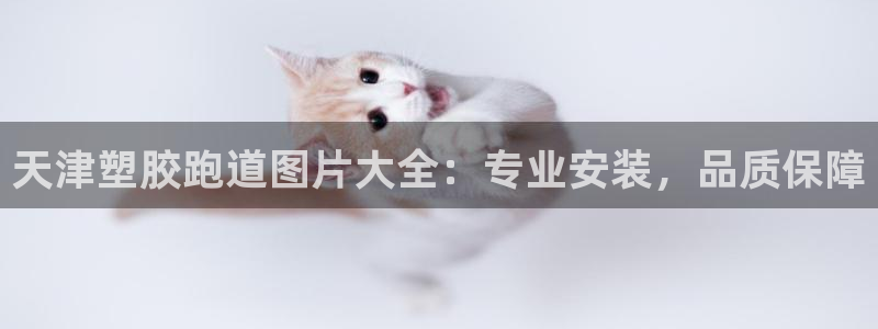 谈球吧体育app登陆：天津塑胶跑道图片大全：专业安装，品质保障