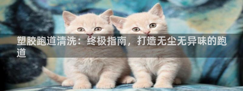 谈球吧怎么样?：塑胶跑道清洗：终极指南，打造无尘无异味的跑
道