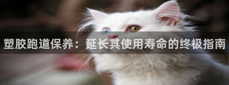 谈球吧app赛事分析报告：塑胶跑道保养：延长其使用寿命的终极指南