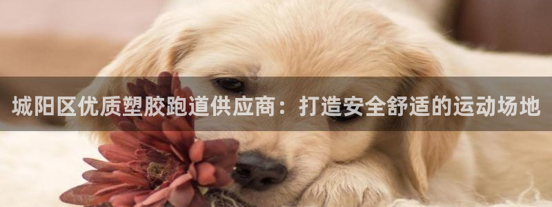 谈球吧在线登陆
