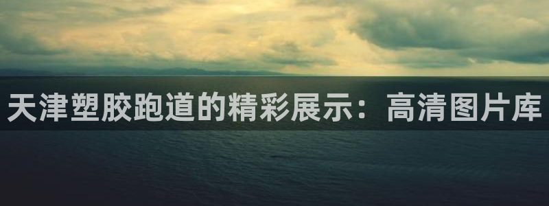 谈球吧体育app下载中心官方网站：天津塑胶跑道的精彩展示：高清图片库