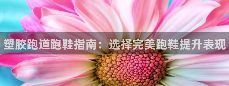 谈球吧官网在线入口免费观看高清版：塑胶跑道跑鞋指南：选择完美跑鞋提升表现
