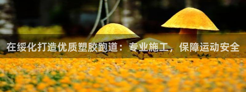 谈球吧tvt：在绥化打造优质塑胶跑道：专业施工，保障