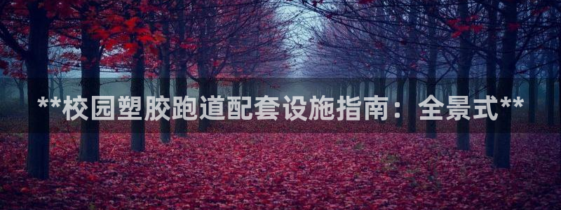 谈球吧官网在线入口免费观看高清：**校园塑胶跑道配套