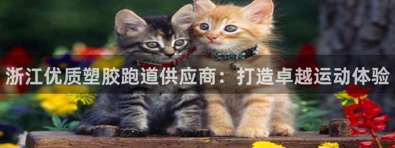 谈球吧娱乐app下载官网苹果手机：浙江优质塑胶跑道供应商：打造卓越运动体验