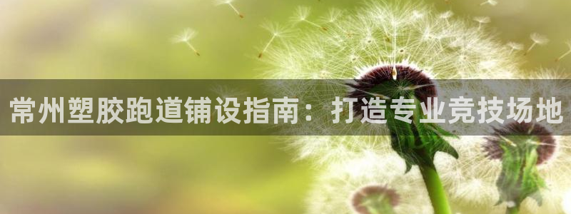 谈球吧APP入口：常州塑胶跑道铺设指南：打造专业竞技