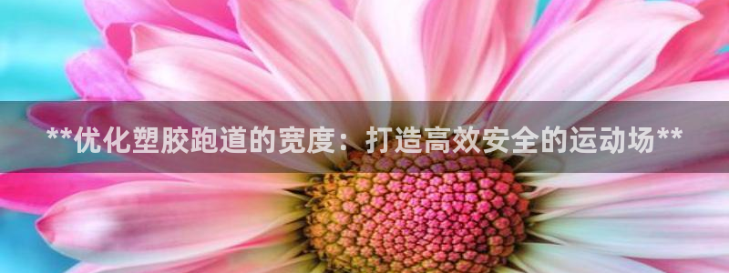谈球吧论坛：**优化塑胶跑道的宽度：打造高效安全的运动场**