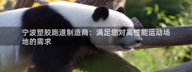 谈球吧是黑台子吗：宁波塑胶跑道制造商：满足您对高性能运动场
地的需求