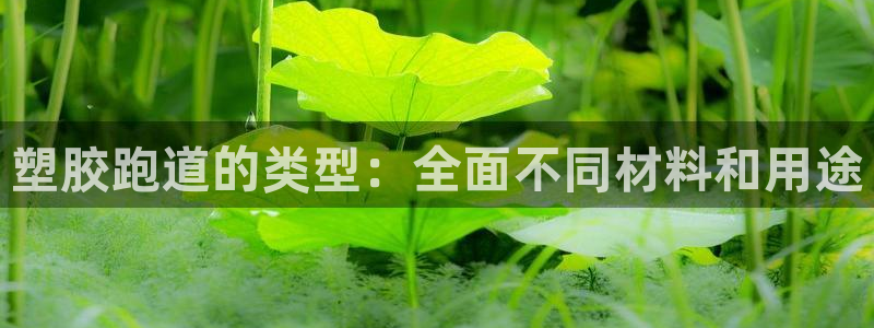 谈球吧体育app下载足球直播软件：塑胶跑道的类型：全面不同材料和用途