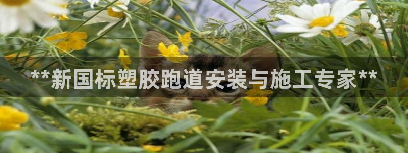 谈球吧app下载安装：**新国标塑胶跑道安装与施工专家**
