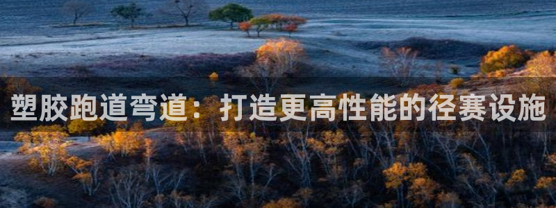 谈球吧首页：塑胶跑道弯道：打造更高性能的径赛设施