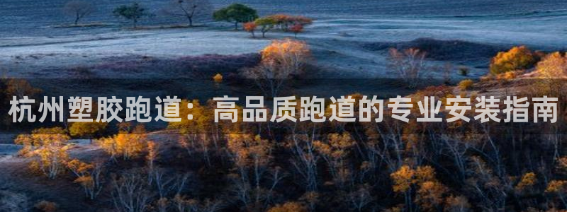 谈球吧体育app官网下载：杭州塑胶跑道：高品质跑道的专业安装指南