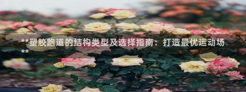 谈球吧体育官网在线入口免费观看