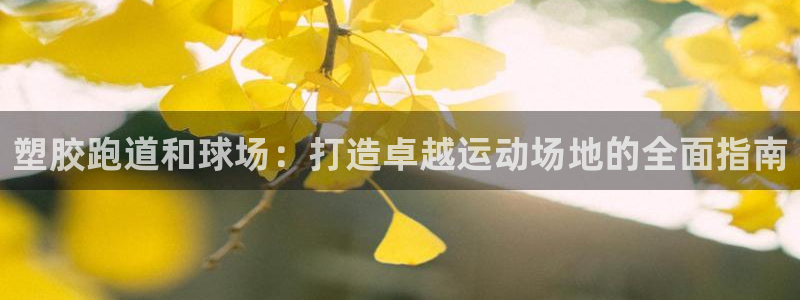 谈球吧官网app下载：塑胶跑道和球场：打造卓越运动场地的全面指南