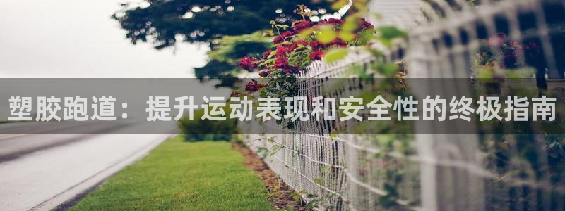 谈球吧全站app下载手机版：塑胶跑道：提升运动表现和安全性的终极指南