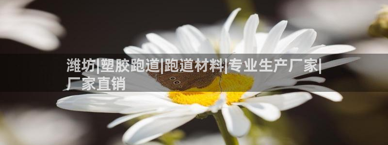 谈球吧平台正规吗可靠吗安全吗：潍坊|塑胶跑道|跑道材