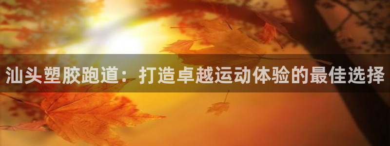谈球吧平台app：汕头塑胶跑道：打造卓越运动体验的最佳选择