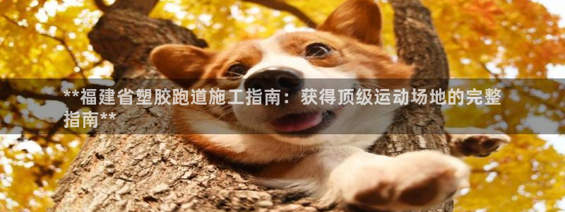 谈球吧体育app下载中心在哪：**福建省塑胶跑道施工指南：获得顶级运动场地的完整
指南**