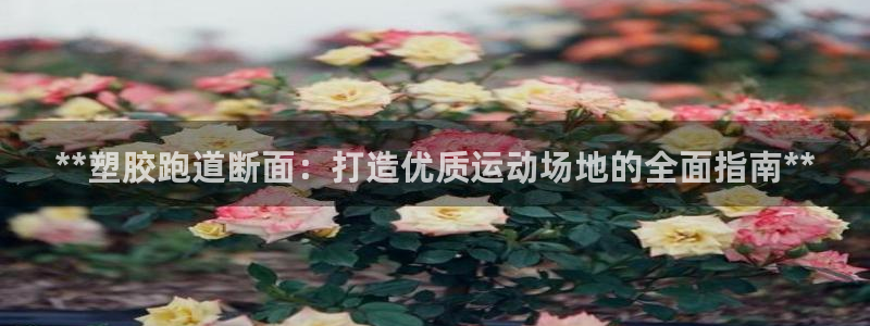 谈球吧网页登录：**塑胶跑道断面：打造优质运动场地的全面指南**