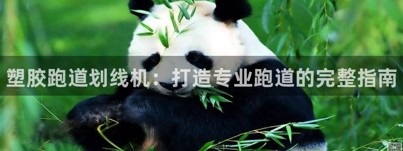谈球吧app官网：塑胶跑道划线机：打造专业跑道的完整指南