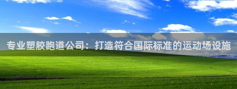 谈球吧的聊天软件下载：专业塑胶跑道公司：打造符合国际标准的运动场设施